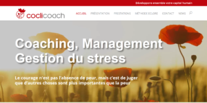 Creation Site vitrine coclicoach sous wordpress
